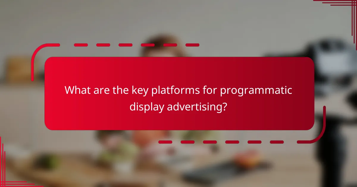 What are the key platforms for programmatic display advertising?