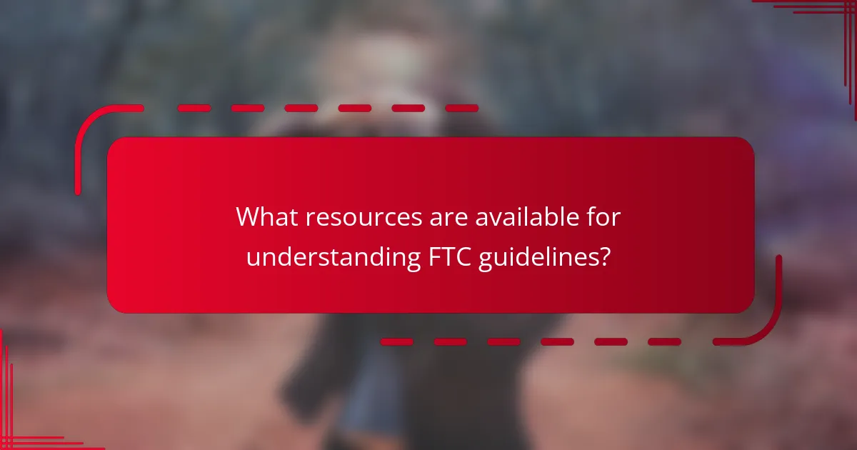 What resources are available for understanding FTC guidelines?