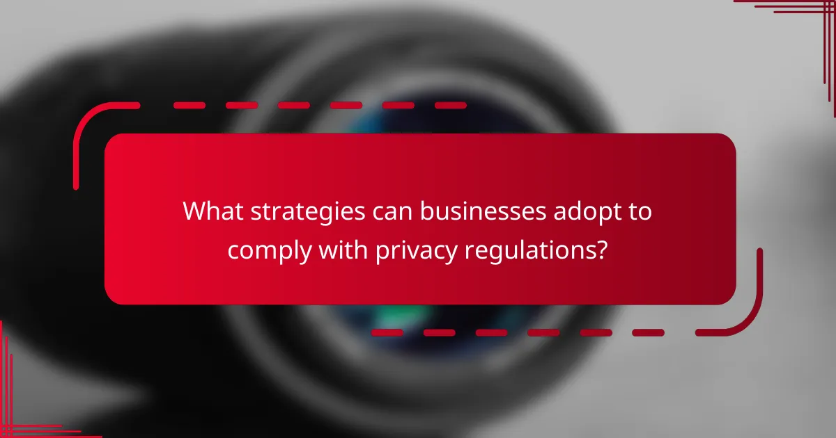 What strategies can businesses adopt to comply with privacy regulations?